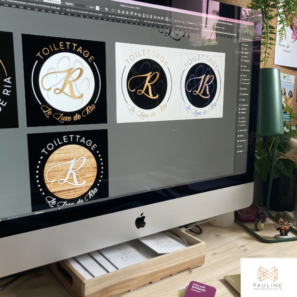 Écran d'ordinateur affichant différentes versions d'un logo pour 'Toilettage Le Luxe de Ria', utilisé comme visuel pour la page d'identité visuelle.